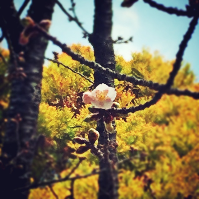 f:id:changeless21:20150207201428j:plain f:id:changeless21:20150207201428j:plain