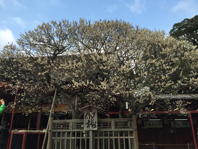 f:id:changeless21:20150219002153j:plain f:id:changeless21:20150219002153j:plain
