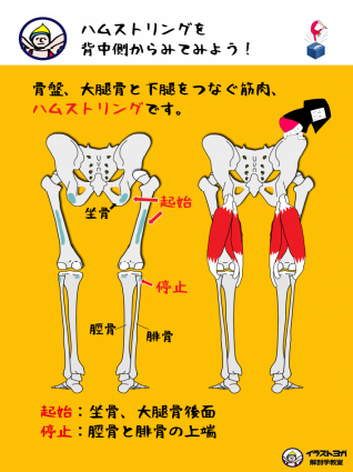 f:id:changlikesdesktop:20190512201850p:plain:w300 f:id:changlikesdesktop:20190512201850p:plain:w300