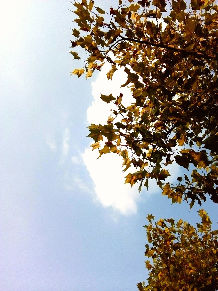 f:id:changpong1987:20191019211440j:plain