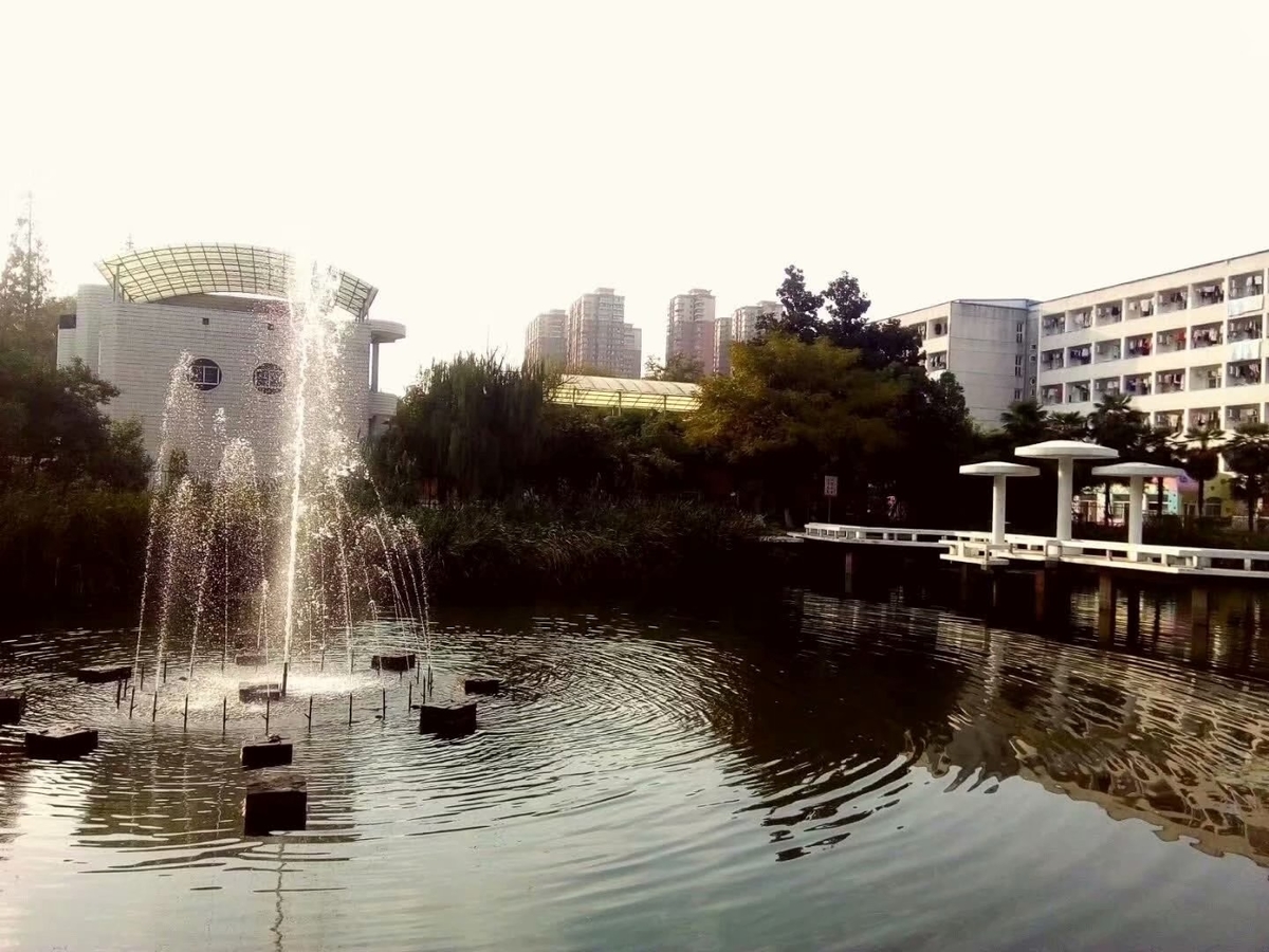 f:id:changpong1987:20191103104244j:plain