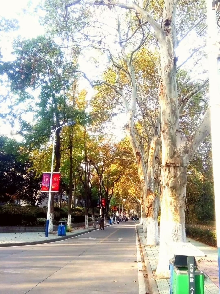 f:id:changpong1987:20191103104318j:plain