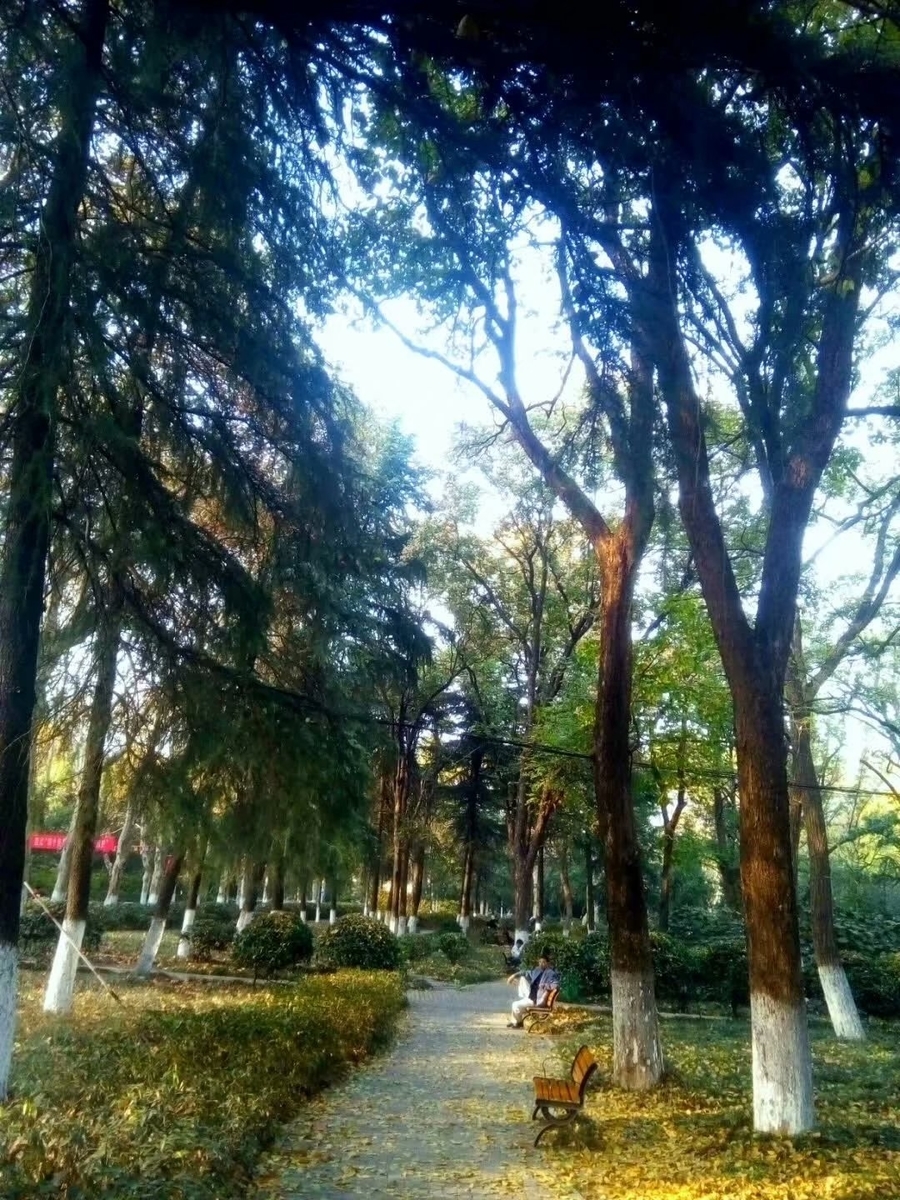 f:id:changpong1987:20191103104334j:plain