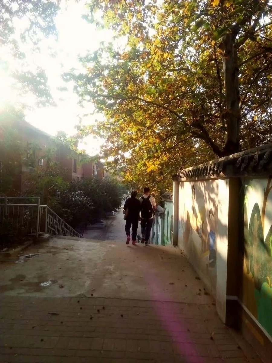 f:id:changpong1987:20191103104415j:plain