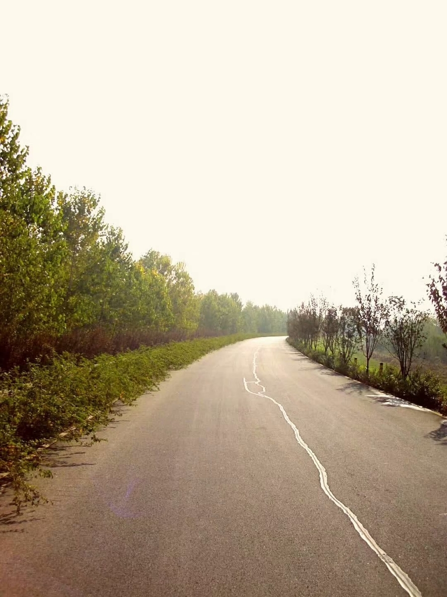 f:id:changpong1987:20191103111217j:plain