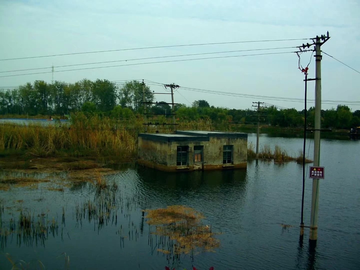 f:id:changpong1987:20191103111258j:plain