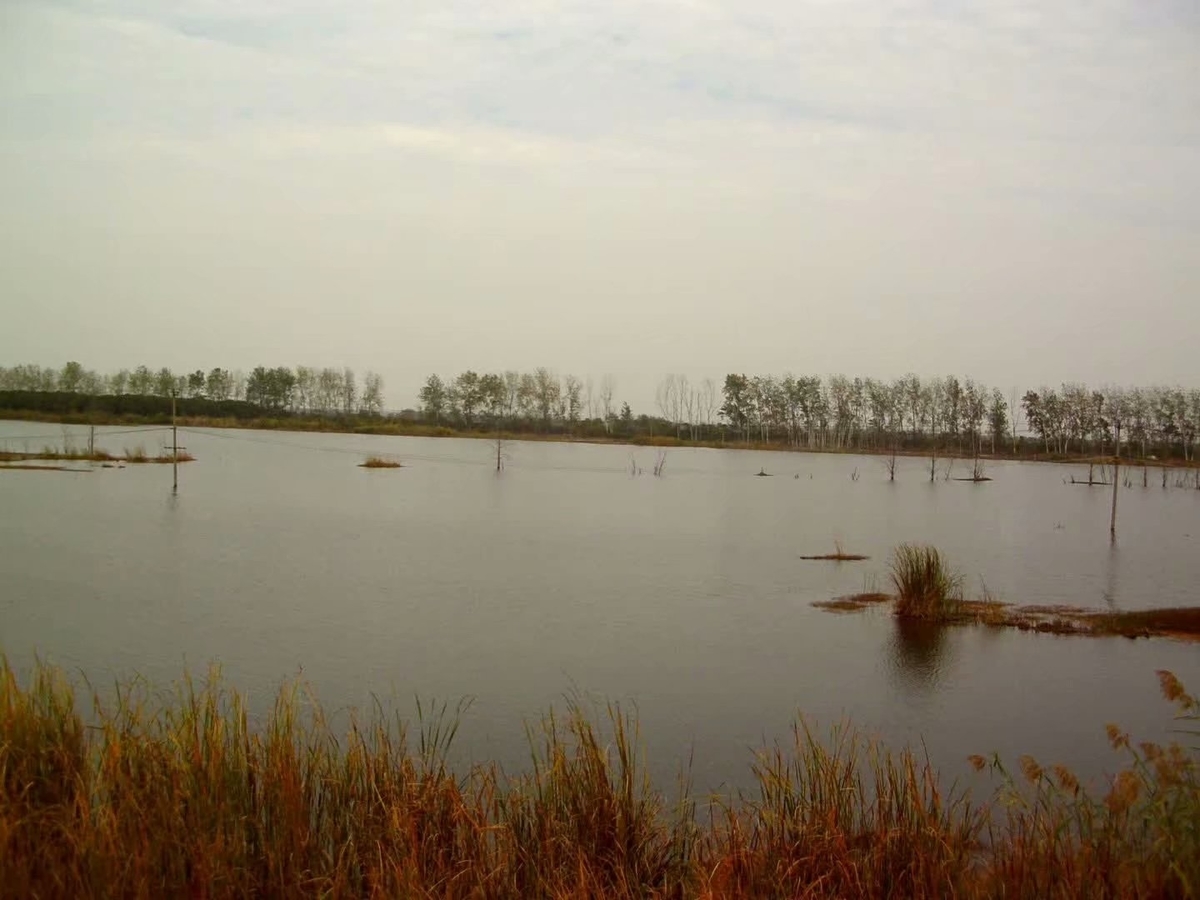 f:id:changpong1987:20191103111313j:plain