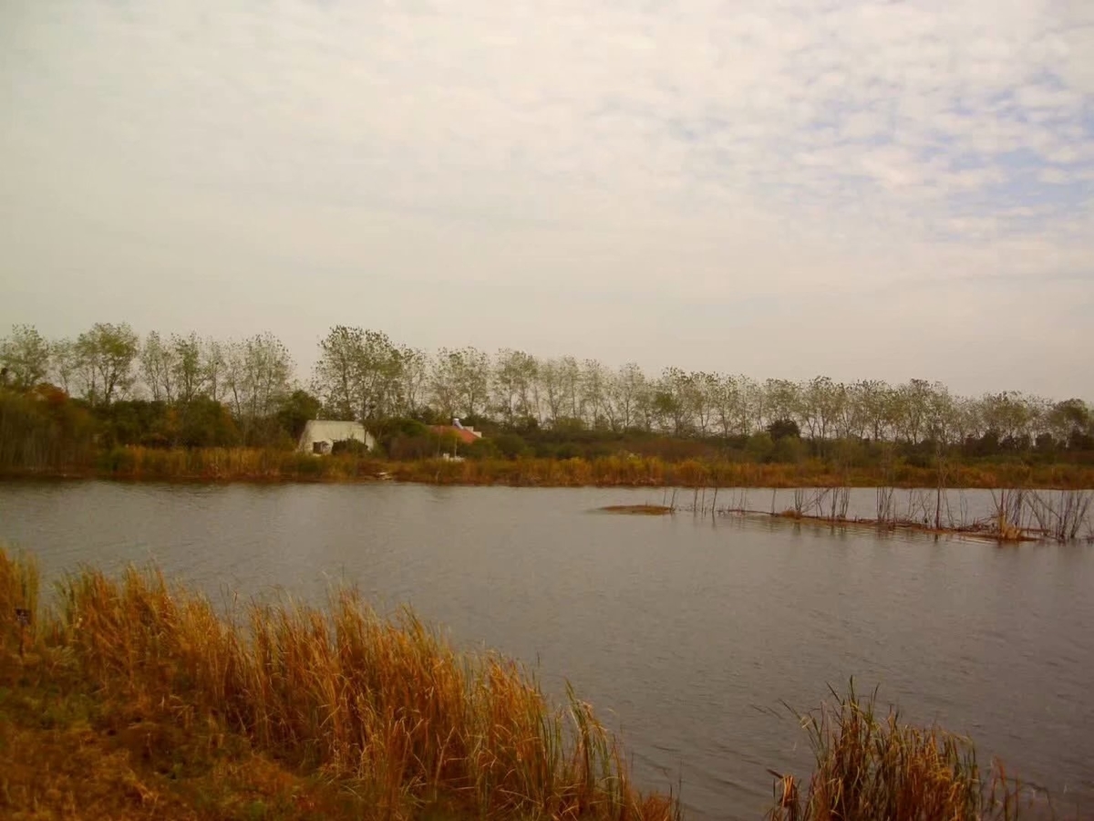 f:id:changpong1987:20191103111324j:plain