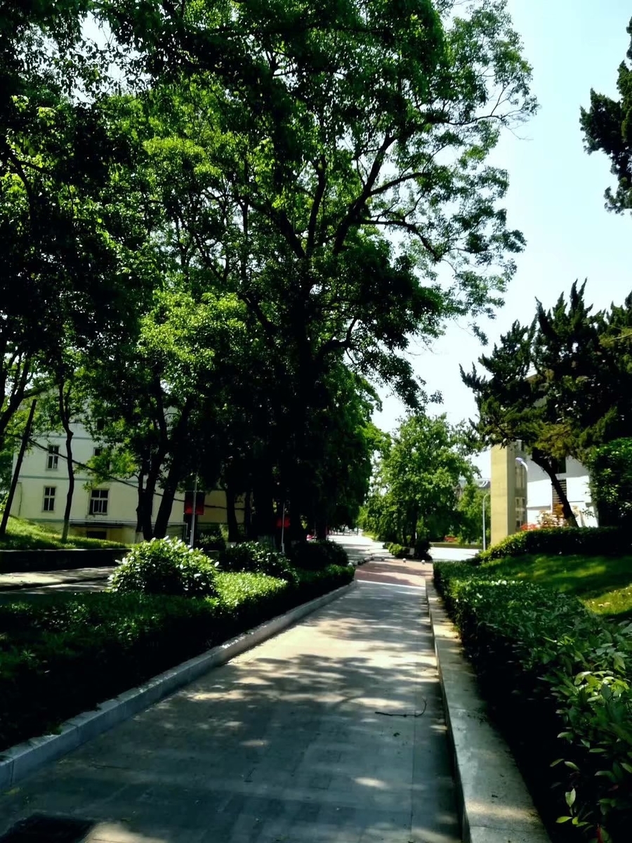 f:id:changpong1987:20200503150146j:plain f:id:changpong1987:20200503150146j:plain