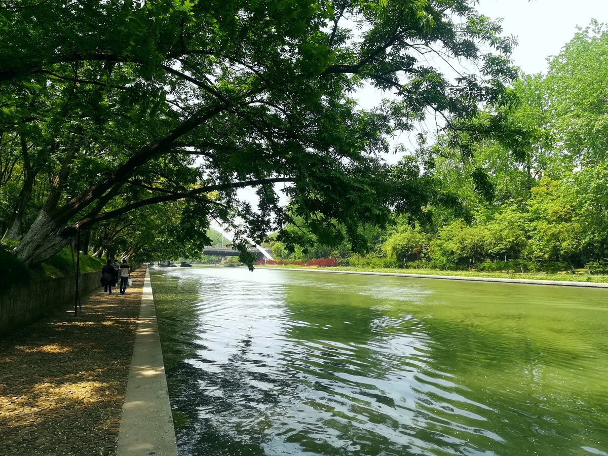 f:id:changpong1987:20200511113443j:plain f:id:changpong1987:20200511113443j:plain