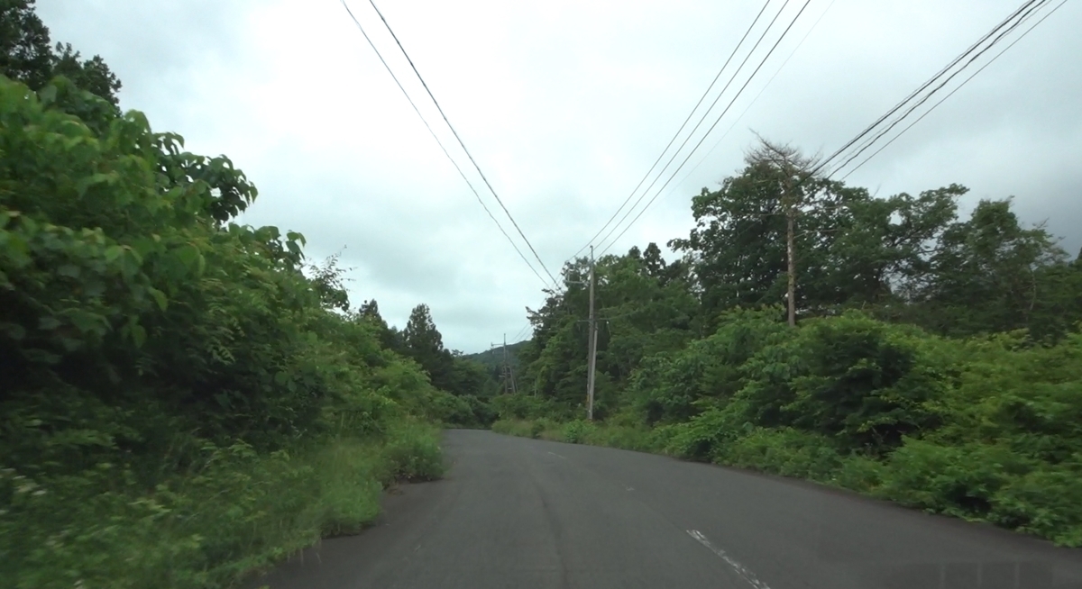 f:id:chanichi1126:20200628210833j:plain f:id:chanichi1126:20200628210833j:plain