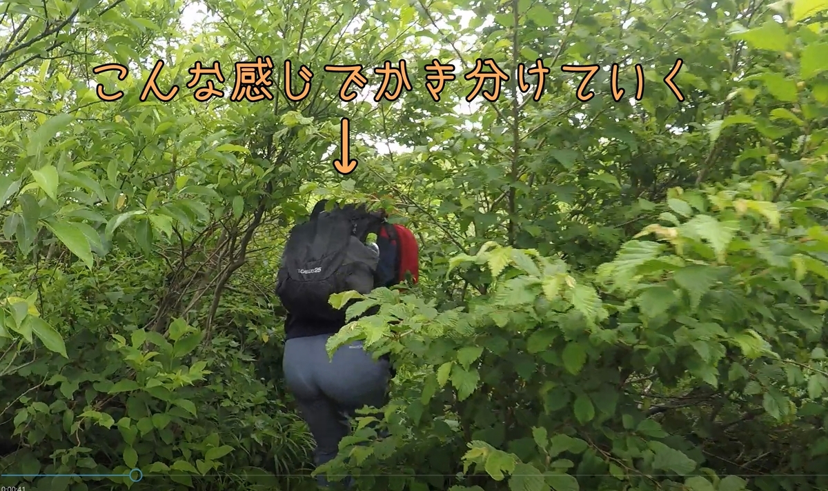 f:id:chanichi1126:20200628214705j:plain f:id:chanichi1126:20200628214705j:plain