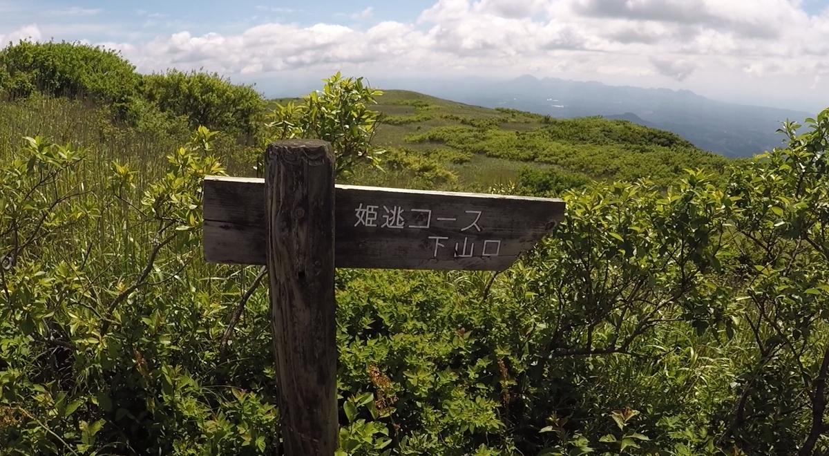 f:id:chanichi1126:20200628215654j:plain f:id:chanichi1126:20200628215654j:plain