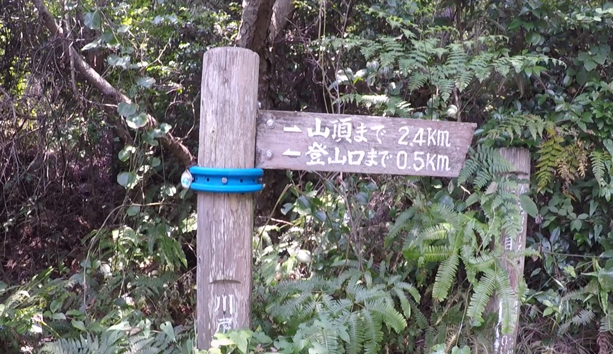 f:id:chanichi1126:20200808220542p:plain f:id:chanichi1126:20200808220542p:plain