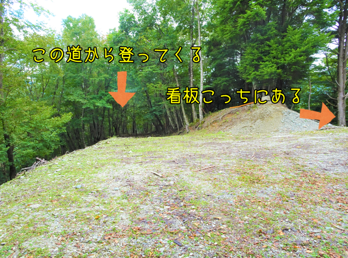 f:id:chanichi1126:20201003160544p:plain f:id:chanichi1126:20201003160544p:plain