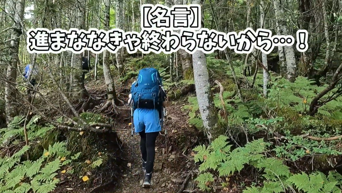 f:id:chanichi1126:20211025194236p:plain