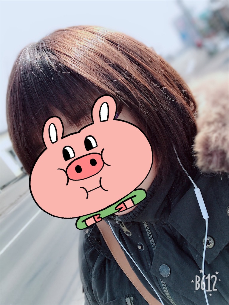 f:id:chanko_bamboo:20190304113721j:image
