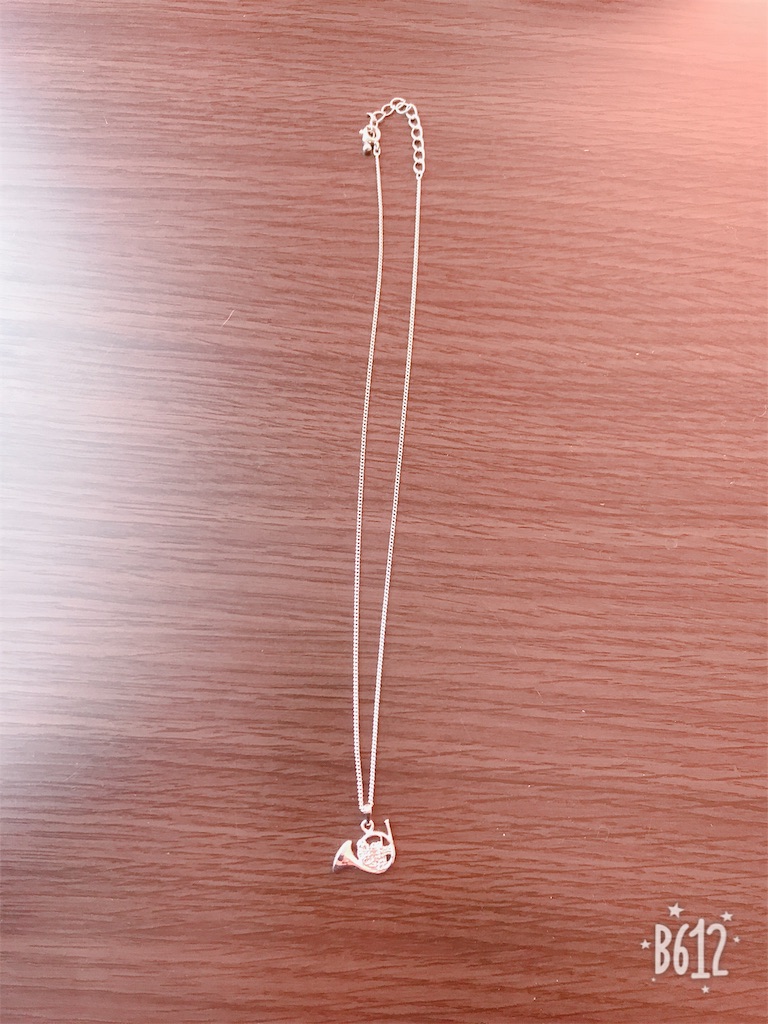 f:id:chanko_bamboo:20190310142537j:image