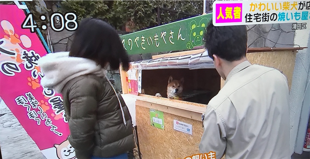 f:id:chanko_bamboo:20190321074244j:image