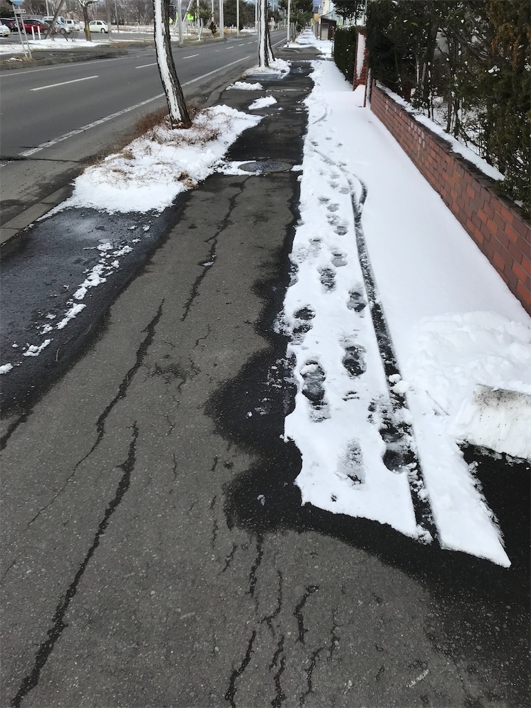 f:id:chanko_bamboo:20190324171917j:image