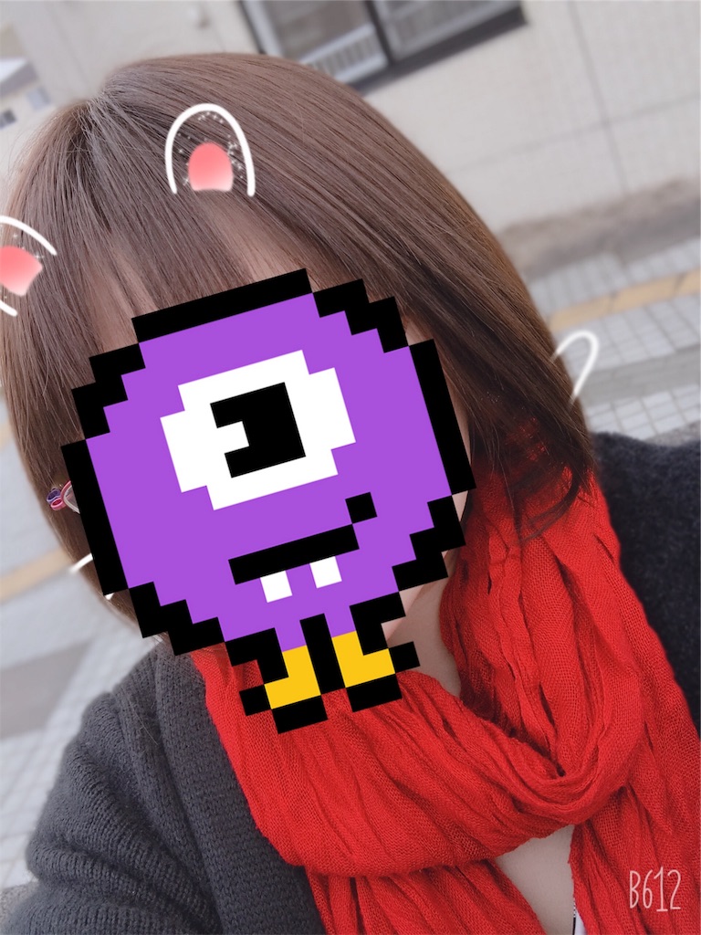 f:id:chanko_bamboo:20190424130513j:image