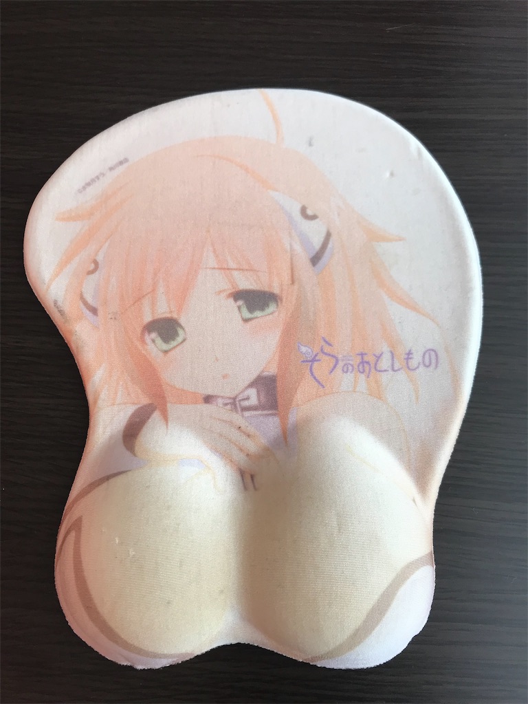 f:id:chanko_bamboo:20190527174442j:image
