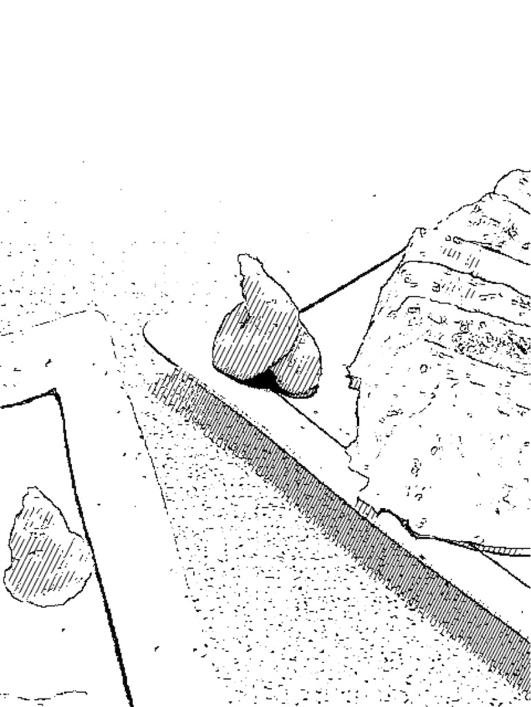 f:id:chanko_bamboo:20190613112224j:image f:id:chanko_bamboo:20190613112224j:image