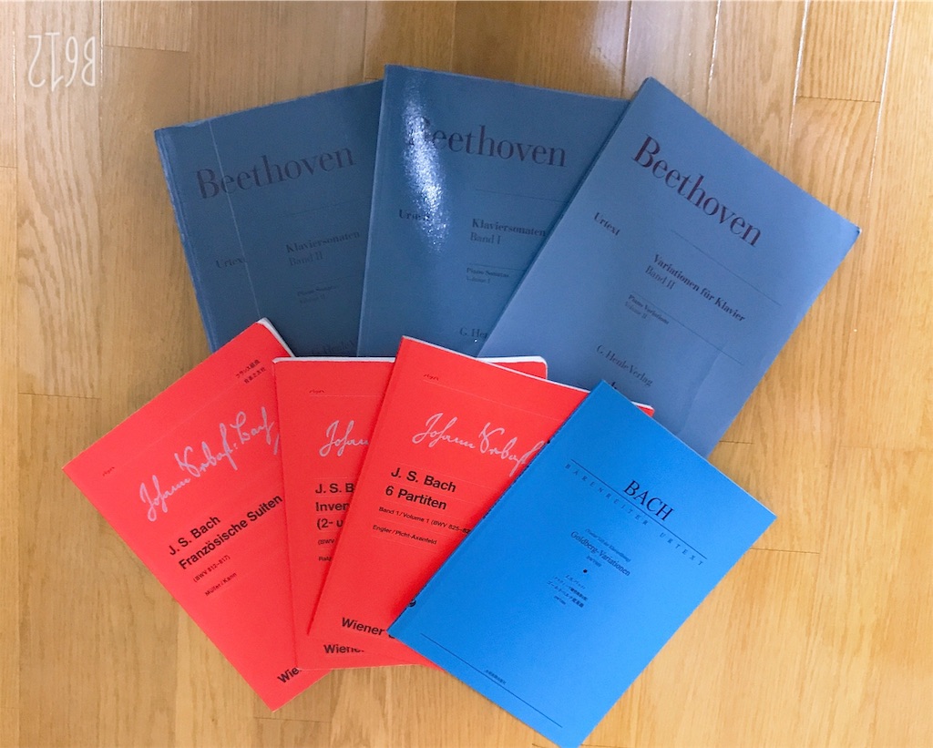 f:id:chanko_bamboo:20190617165815j:image