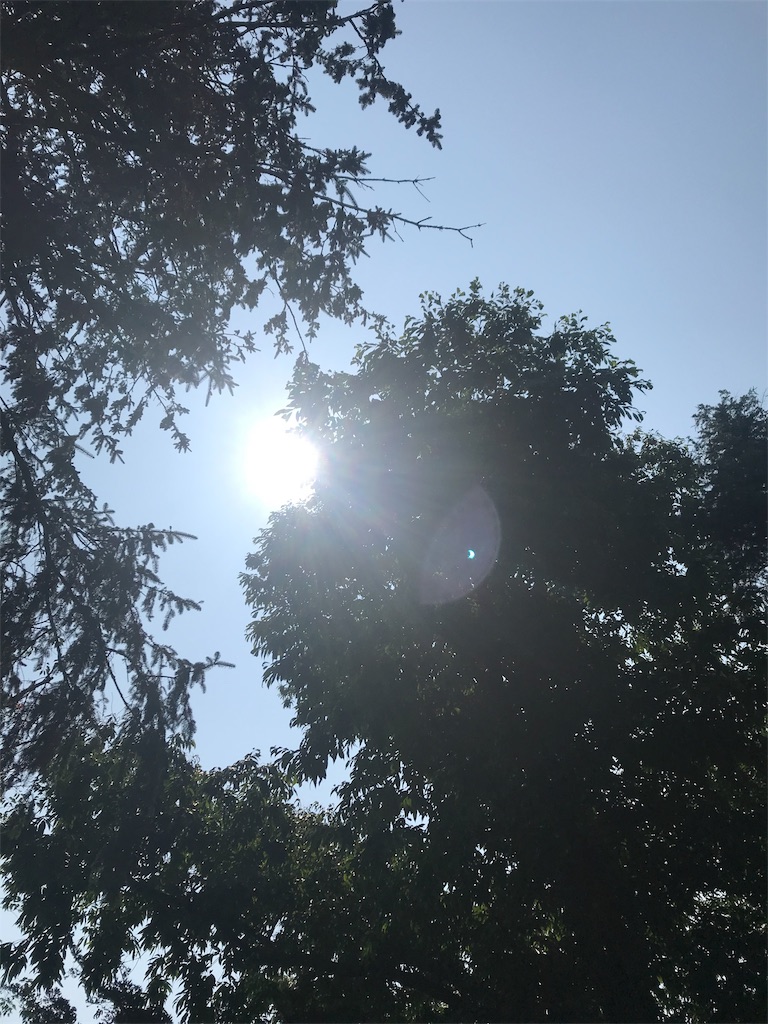 f:id:chanko_bamboo:20190712203031j:image