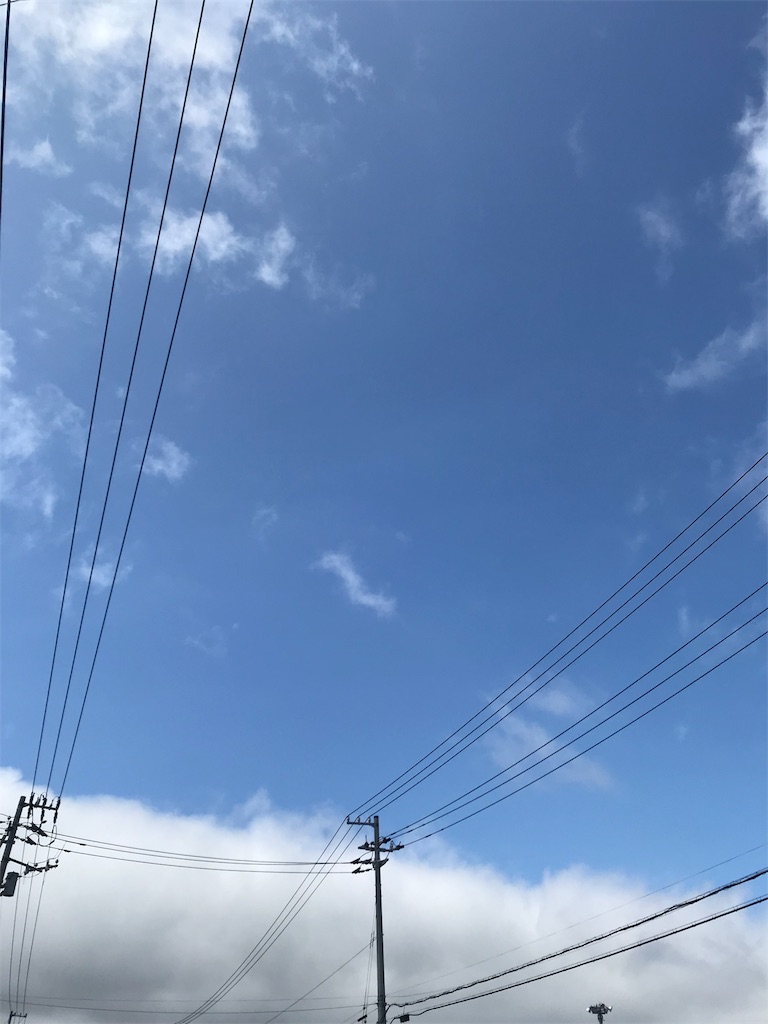 f:id:chanko_bamboo:20190721214625j:image