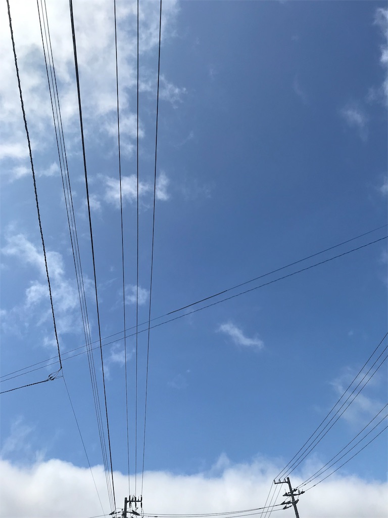 f:id:chanko_bamboo:20190721214636j:image