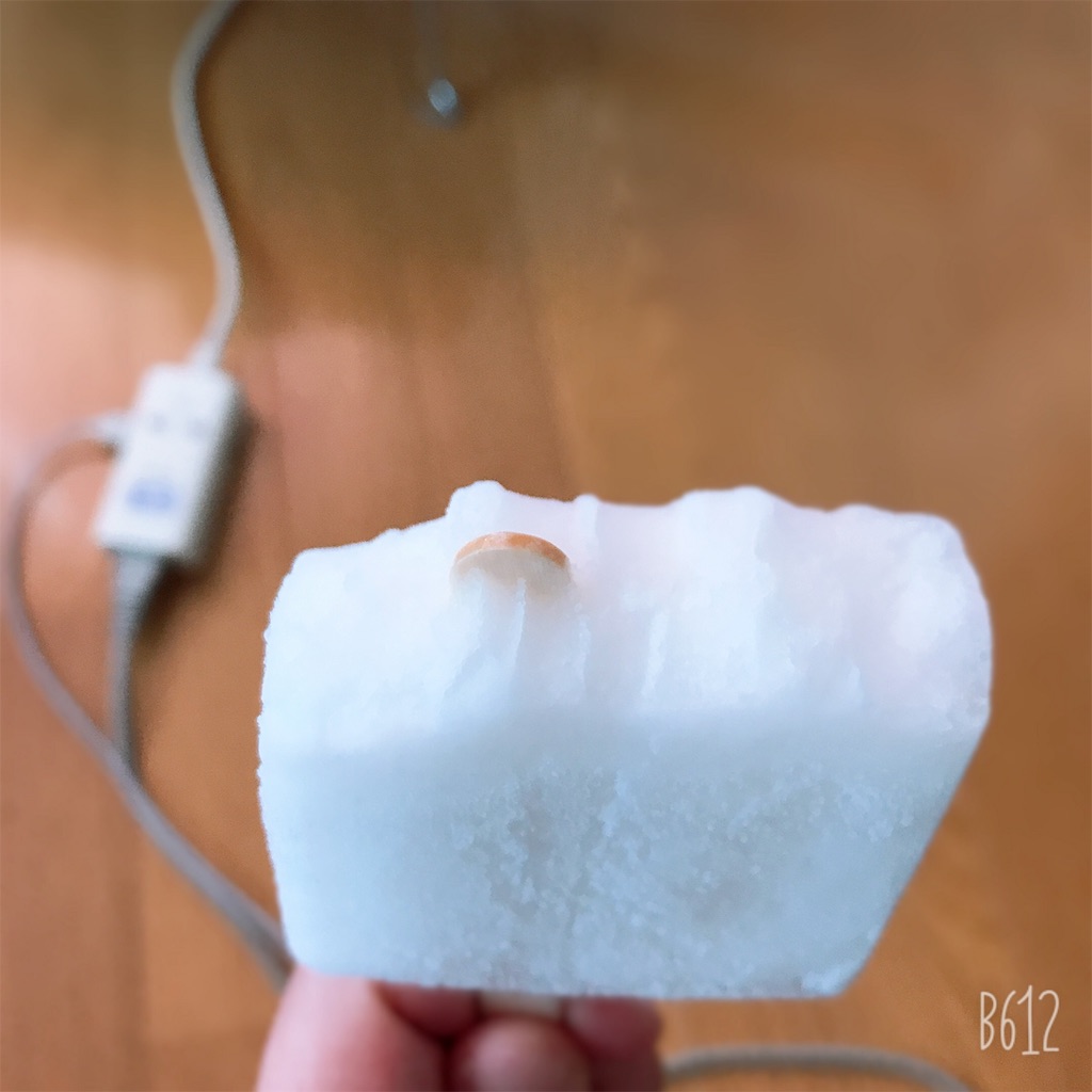 f:id:chanko_bamboo:20190724031925j:image f:id:chanko_bamboo:20190724031925j:image