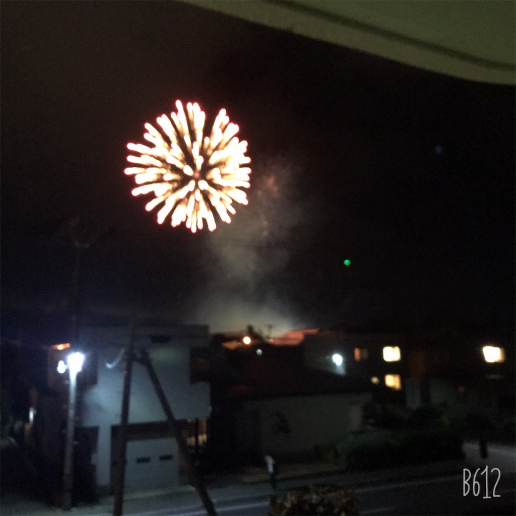 f:id:chanko_bamboo:20190825111818j:image f:id:chanko_bamboo:20190825111818j:image