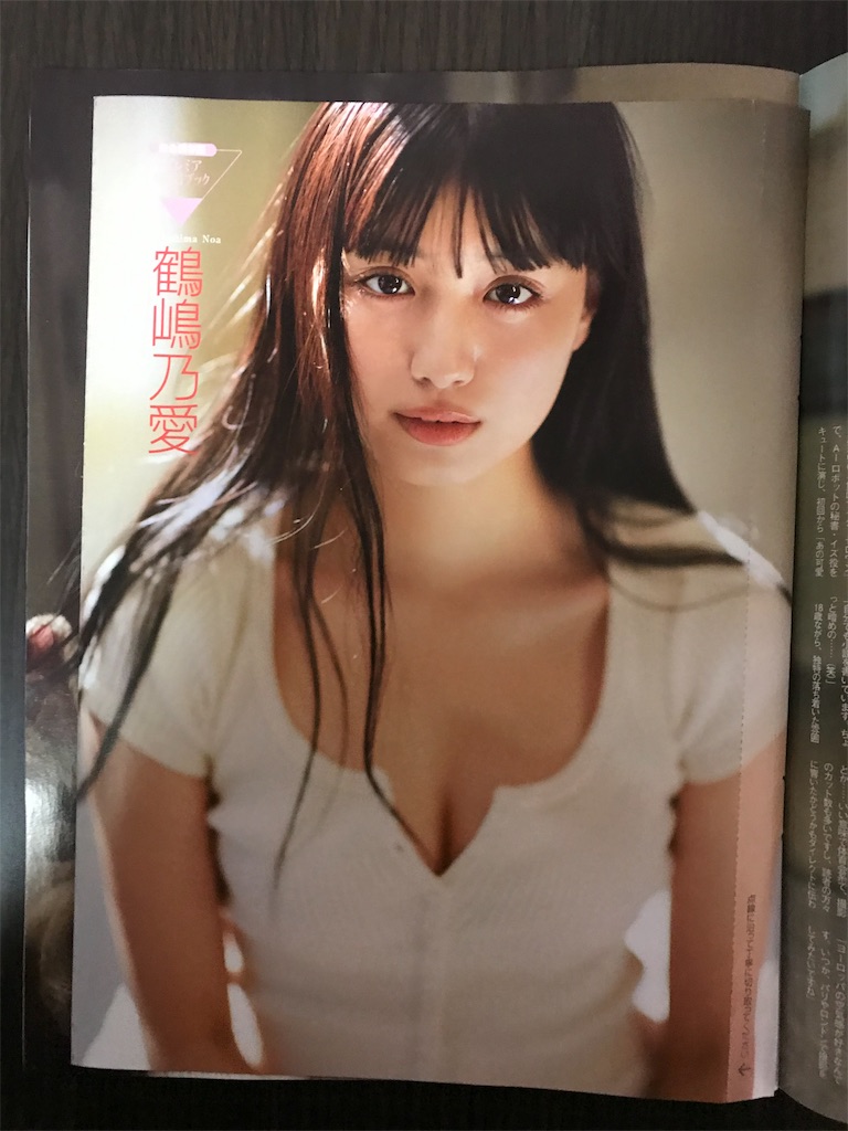 f:id:chanko_bamboo:20191201075240j:image
