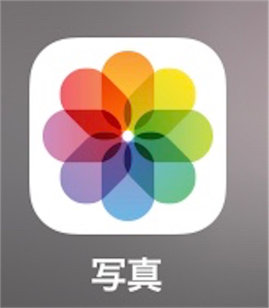 f:id:chanko_bamboo:20200318150426j:image f:id:chanko_bamboo:20200318150426j:image