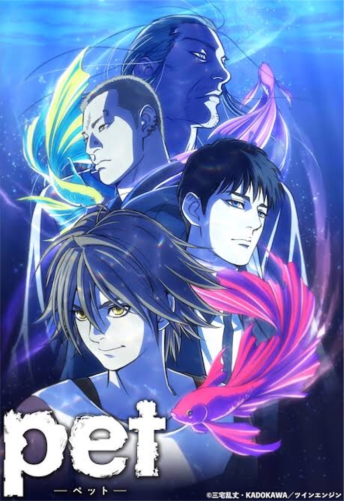 f:id:chanko_bamboo:20200322181045j:image