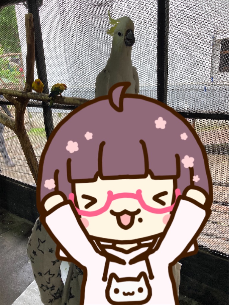 f:id:chanko_bamboo:20230715135725j:image f:id:chanko_bamboo:20230715135725j:image