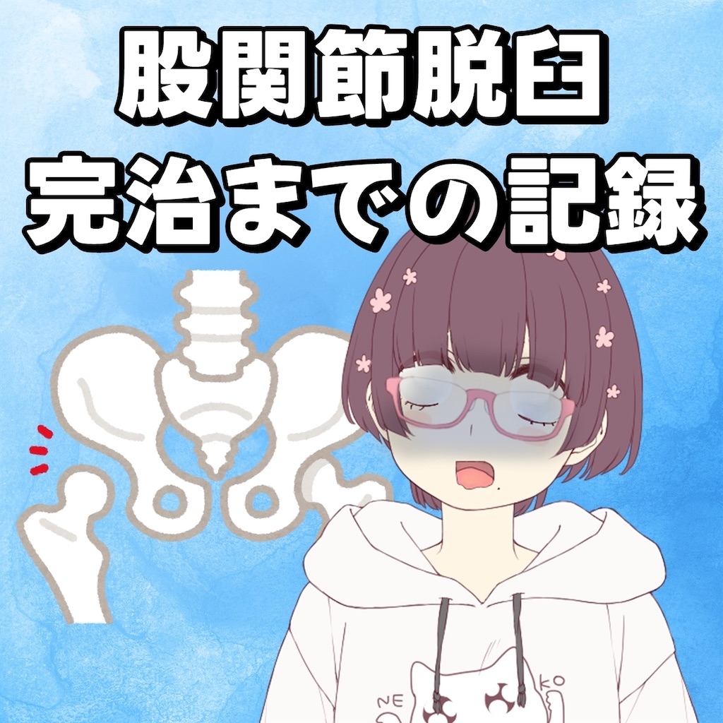 f:id:chanko_bamboo:20241107110507j:image