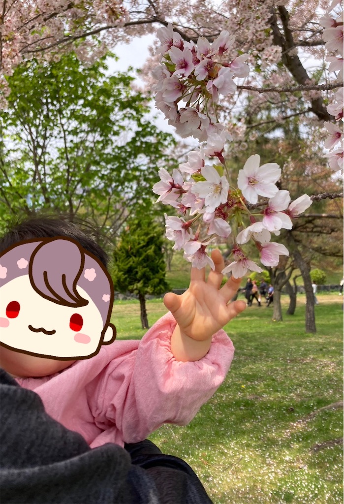 f:id:chanko_bamboo:20250509105016j:image