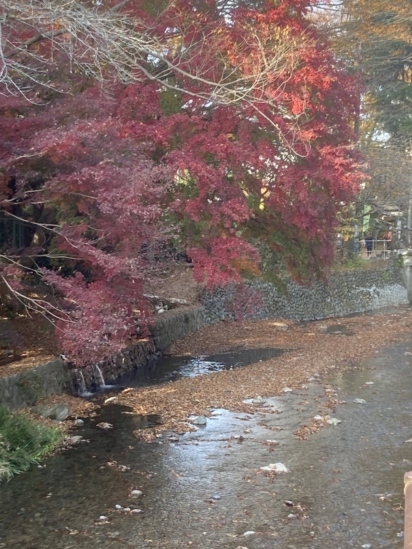 f:id:chankochanko:20201118223531j:plain