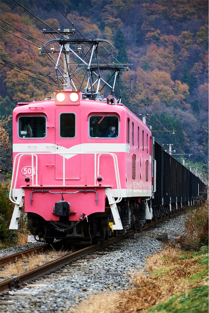 f:id:chankochanko:20201205101241j:image f:id:chankochanko:20201205101241j:image