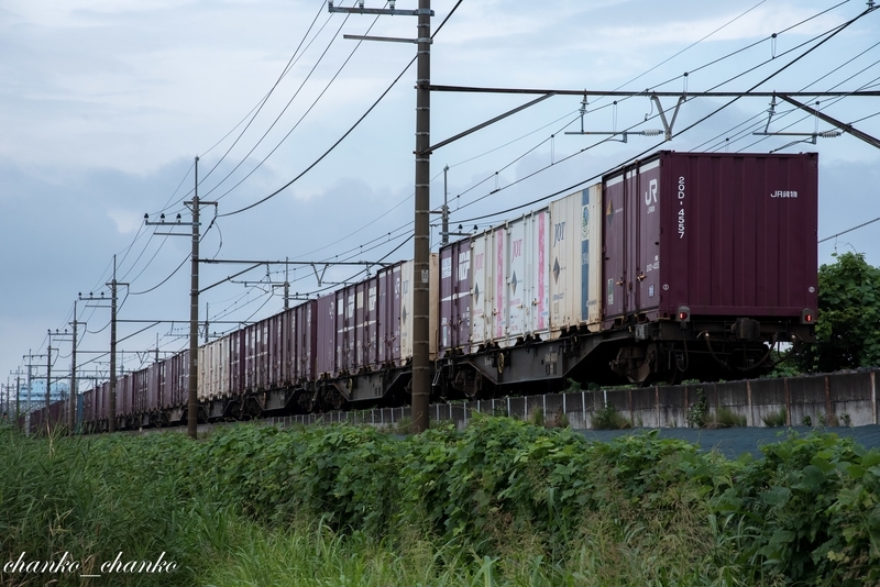 f:id:chankochanko:20210730220647j:plain