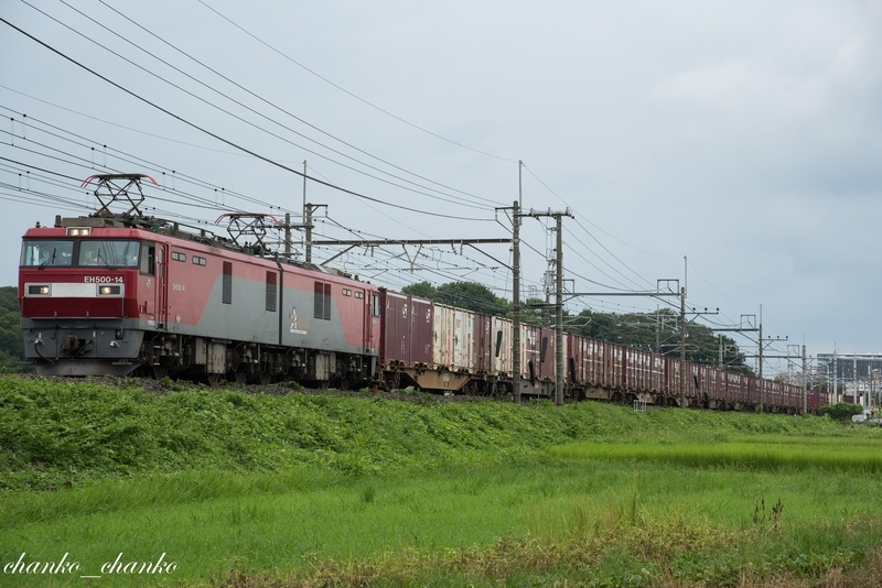 f:id:chankochanko:20210730221847j:plain