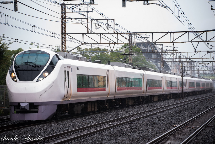 f:id:chankochanko:20210920081932j:plain