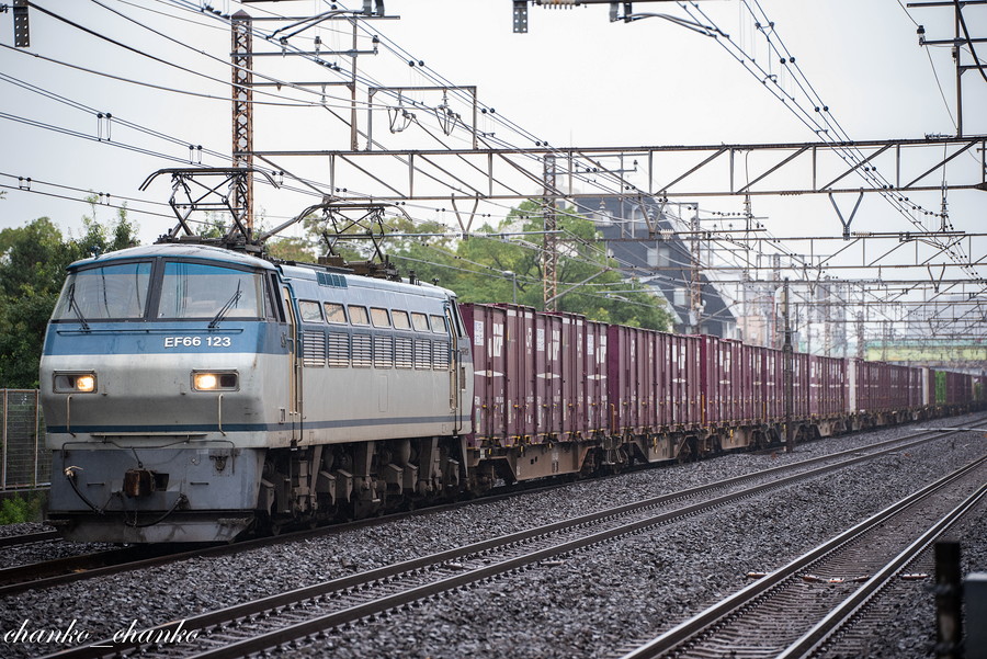 f:id:chankochanko:20210920081939j:plain