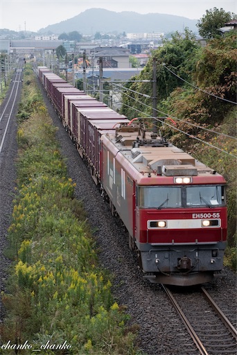 f:id:chankochanko:20211029073022j:image f:id:chankochanko:20211029073022j:image