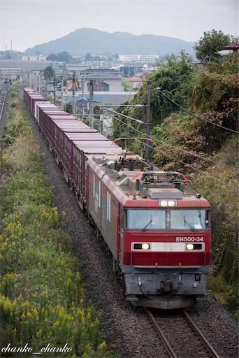 f:id:chankochanko:20211029073026j:image f:id:chankochanko:20211029073026j:image