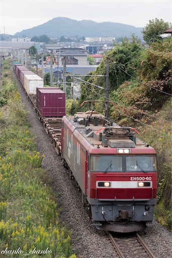 f:id:chankochanko:20211029073028j:image f:id:chankochanko:20211029073028j:image