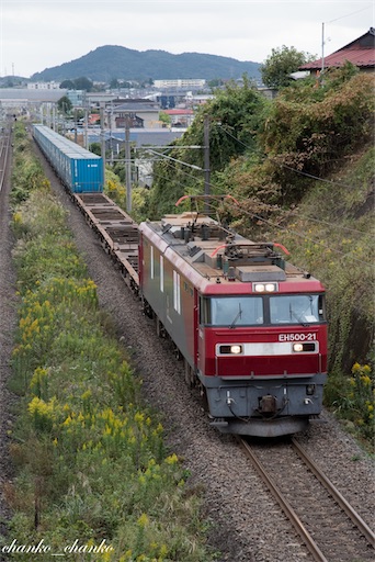 f:id:chankochanko:20211029073035j:image f:id:chankochanko:20211029073035j:image