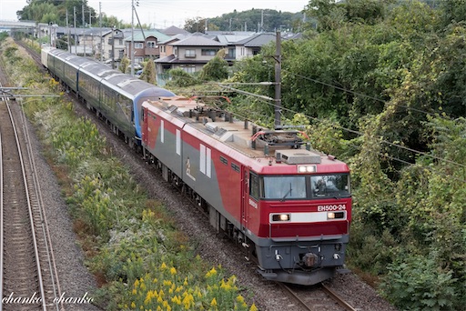 f:id:chankochanko:20211029073037j:image f:id:chankochanko:20211029073037j:image